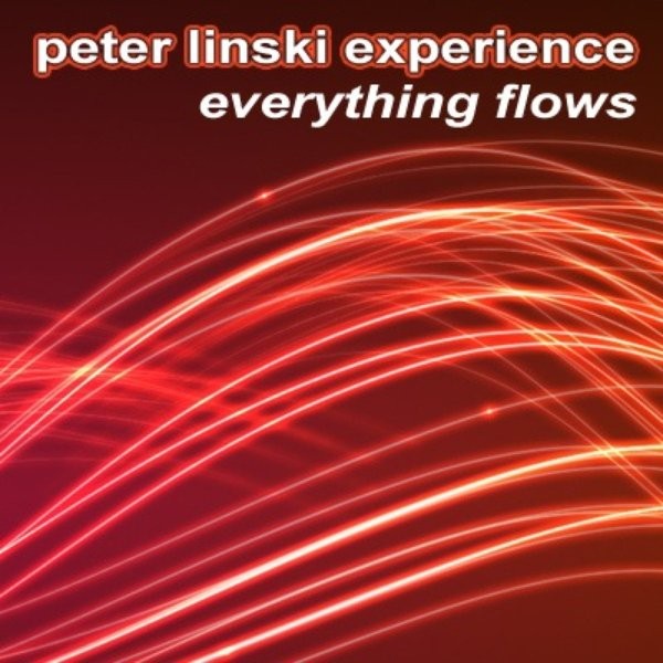 Peter Linski Experience