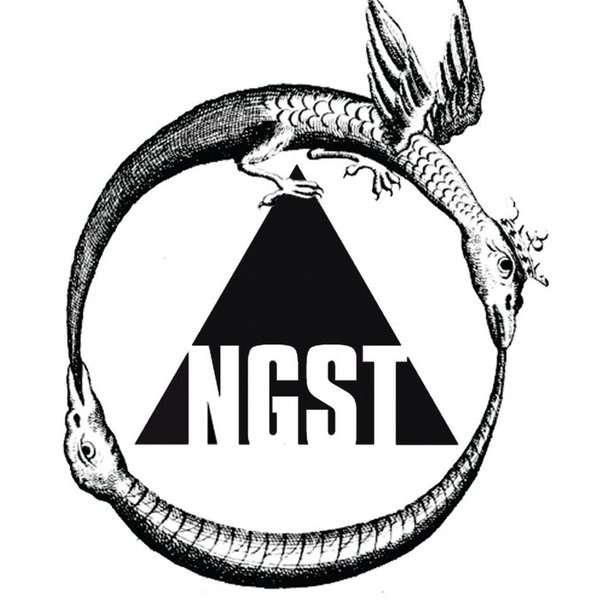 ▲NGST