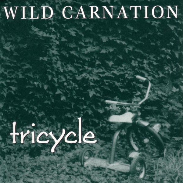 Wild Carnation