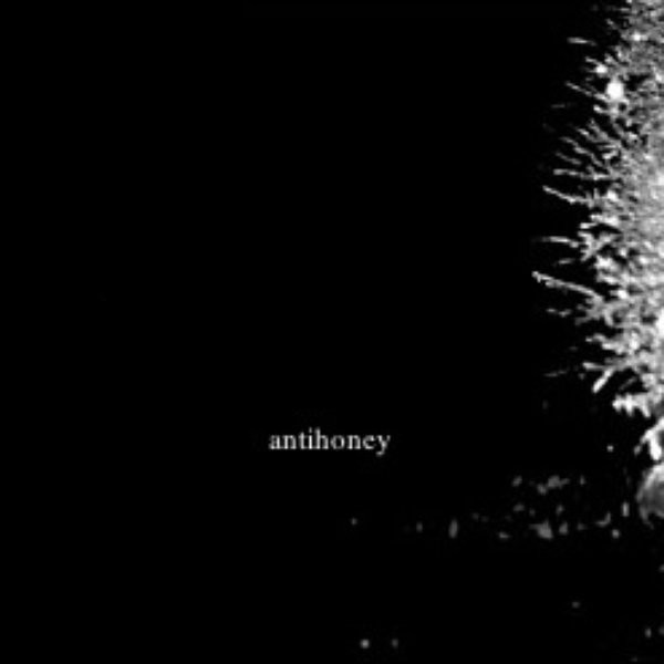 antihoney